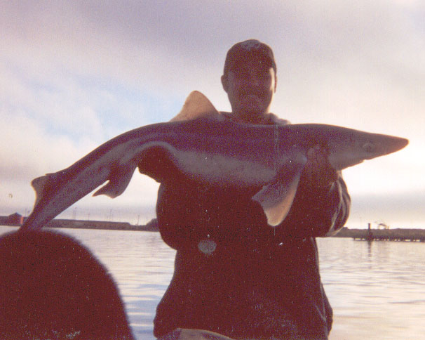 Jason & a shark