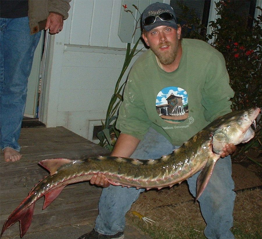 Thomas hold a 5' & 30 lbs sturgeon