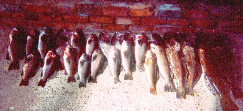 great feast